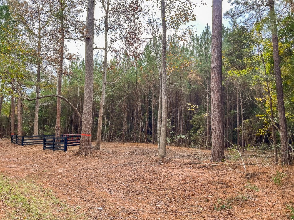 013 Cr 2307 Cleveland TX 77327