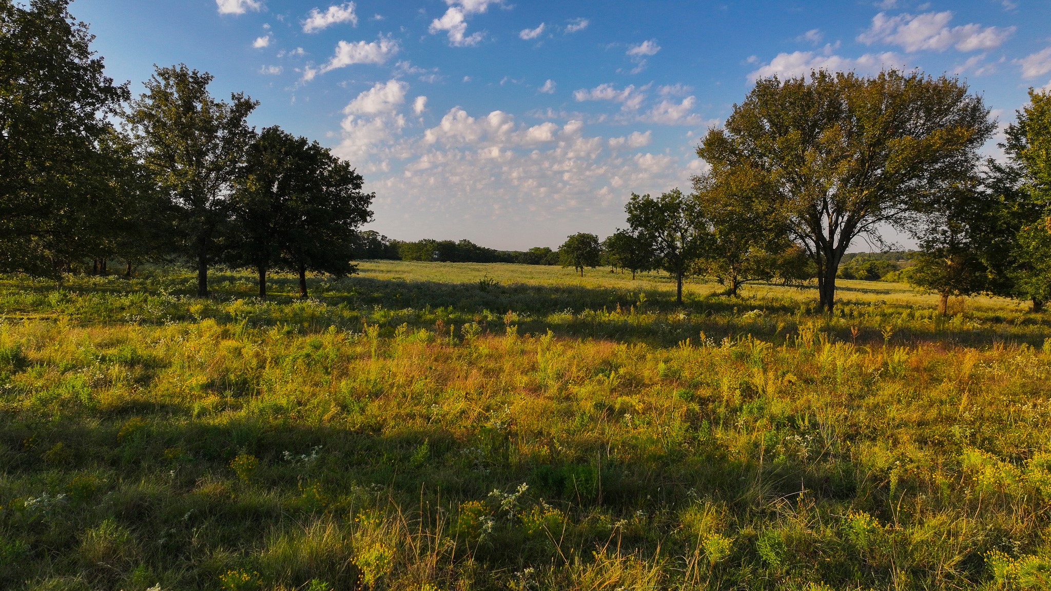 675 Hundley Road Montague TX 76251