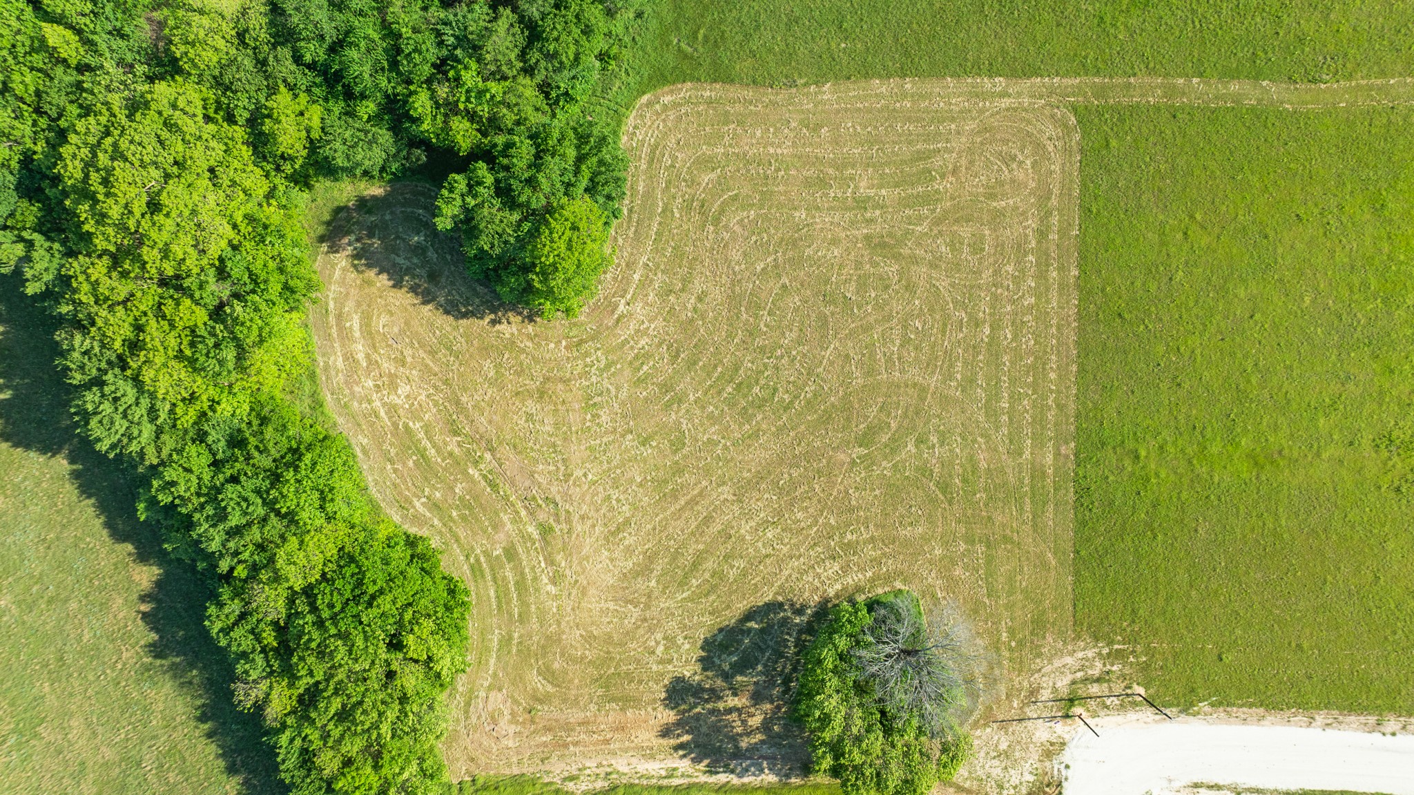 434 Private Road 33085 Sumner TX 75486