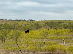 Tbd Fm 2164 Sanger TX 76266