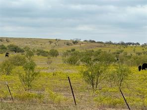 Tbd Fm 2164 Sanger TX 76266