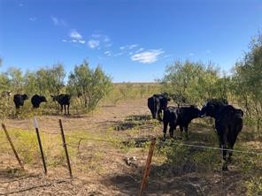 Tbd Fm 2164 Sanger TX 76266