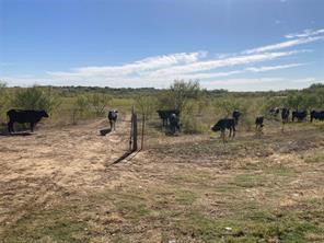 Tbd Fm 2164 Sanger TX 76266