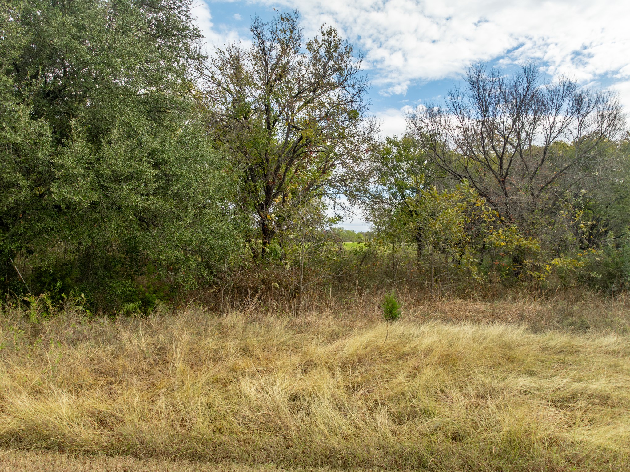 34007 Stonewood Drive Whitney TX 76692
