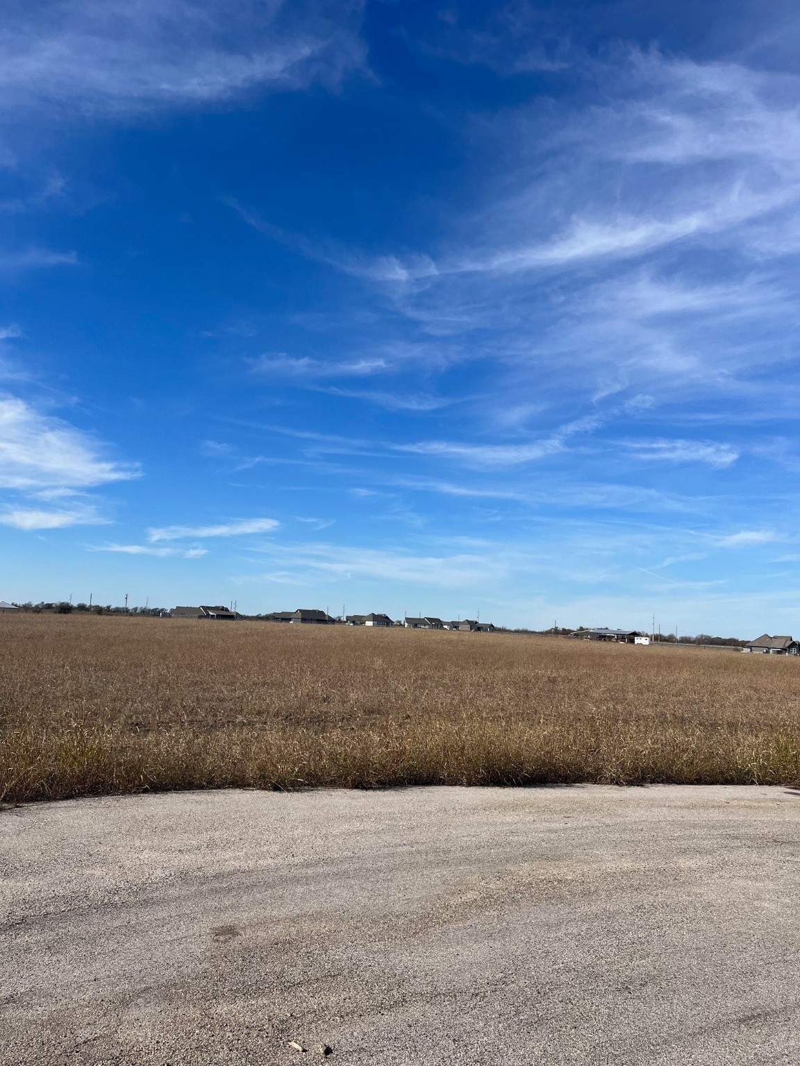 276 Chambers Creek Trail Alvarado TX 76009