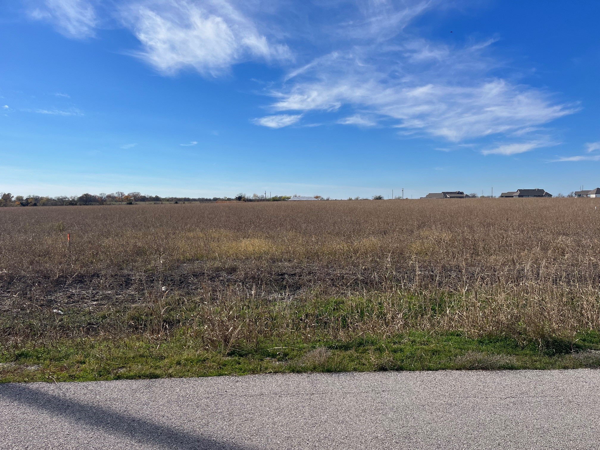 276 Chambers Creek Trail Alvarado TX 76009