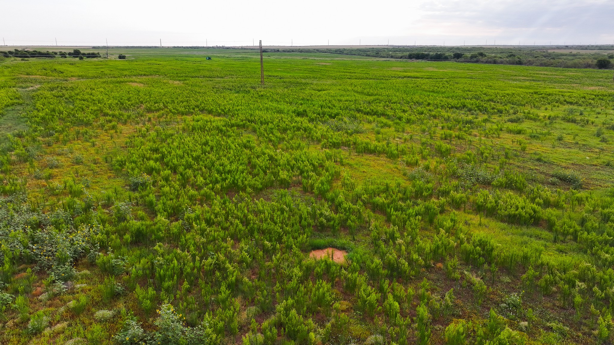 Tbd Highway 287 Quanah TX 79252