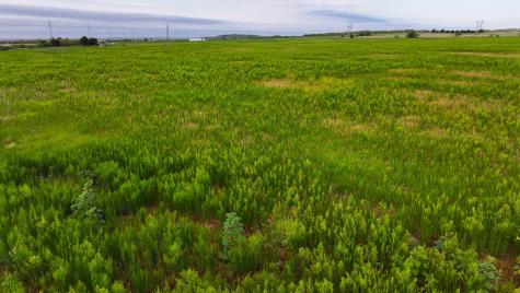 Tbd Highway 287 Quanah TX 79252