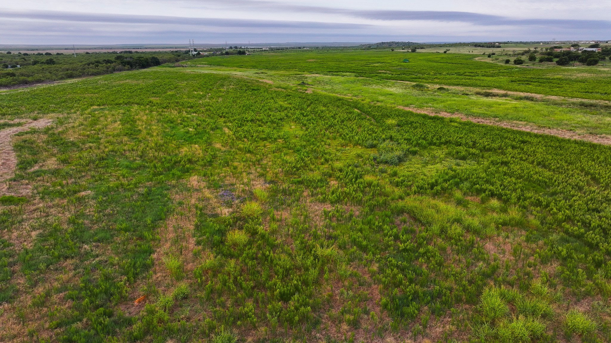 Tbd Highway 287 Quanah TX 79252