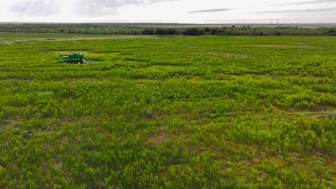 Tbd Highway 287 Quanah TX 79252