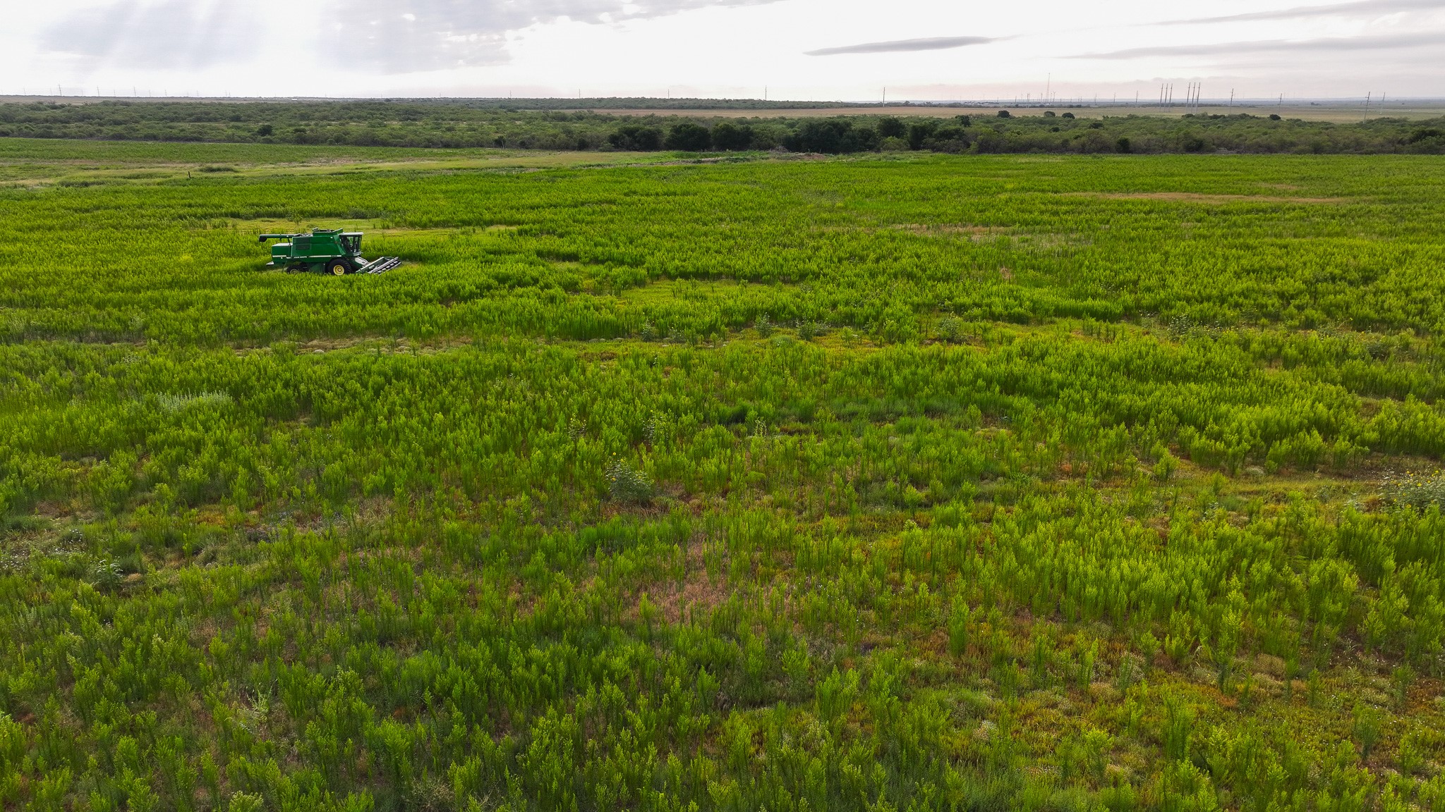 Tbd Highway 287 Quanah TX 79252