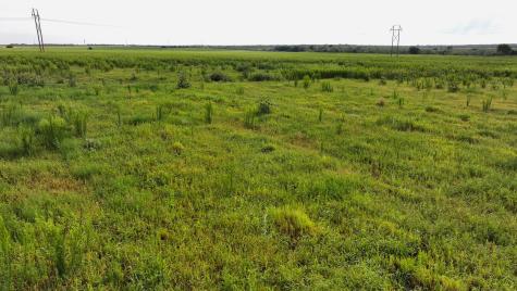 Tbd Highway 287 Quanah TX 79252
