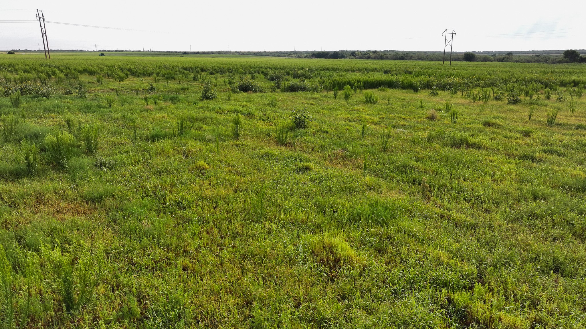 Tbd Highway 287 Quanah TX 79252