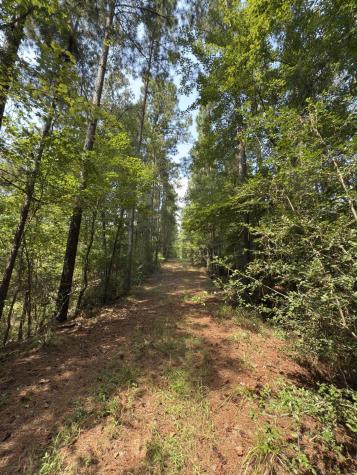 Tbd County Road 283 Garrison TX 75946