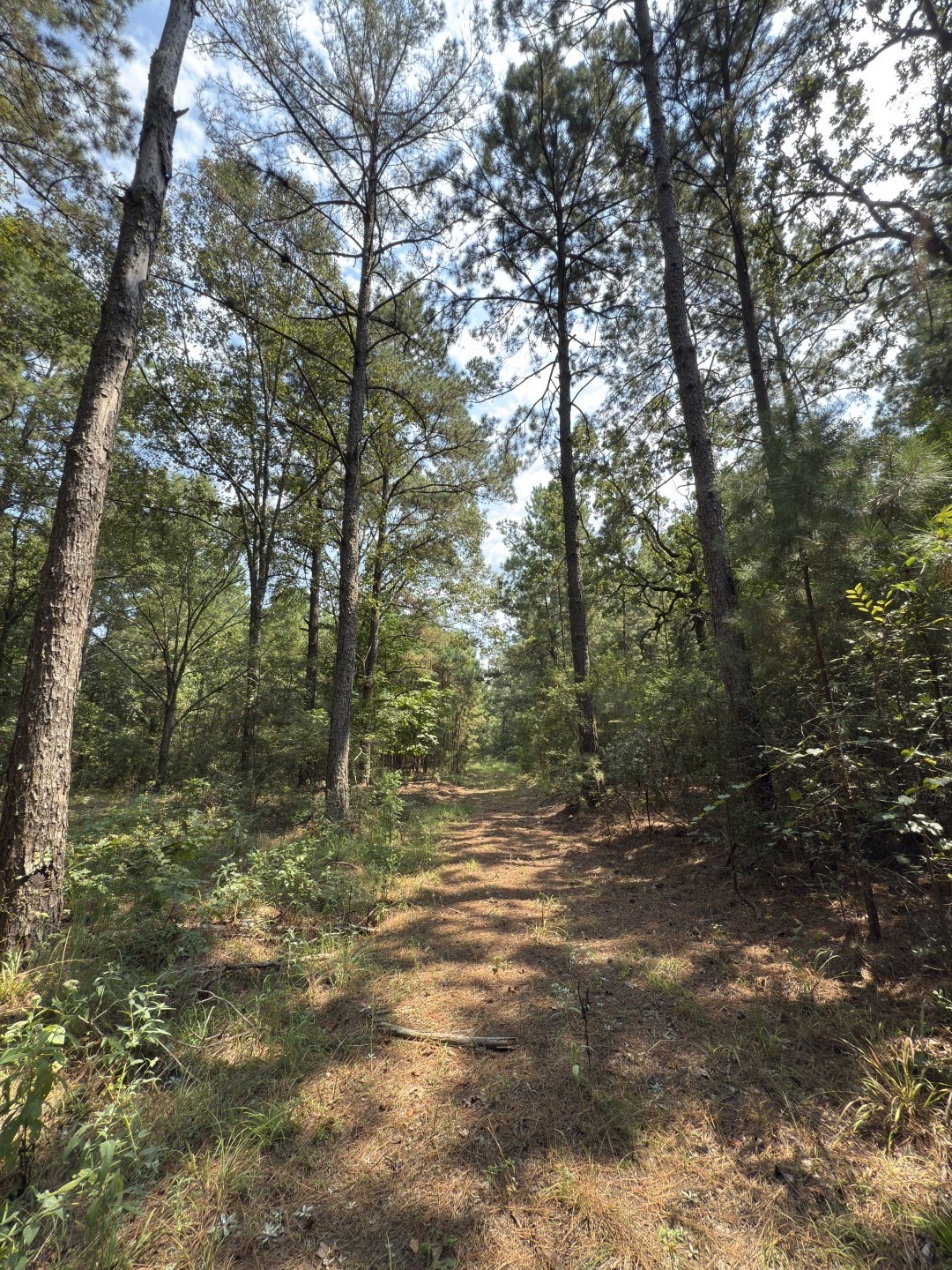 Tbd County Road 283 Garrison TX 75946