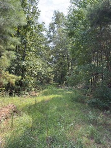 Tbd County Road 283 Garrison TX 75946