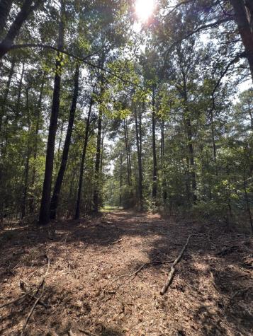 Tbd County Road 283 Garrison TX 75946