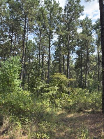 Tbd County Road 283 Garrison TX 75946