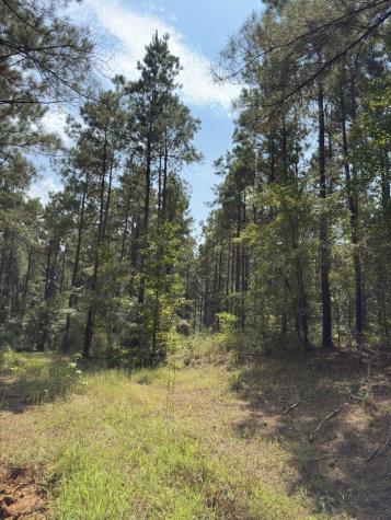 Tbd County Road 283 Garrison TX 75946