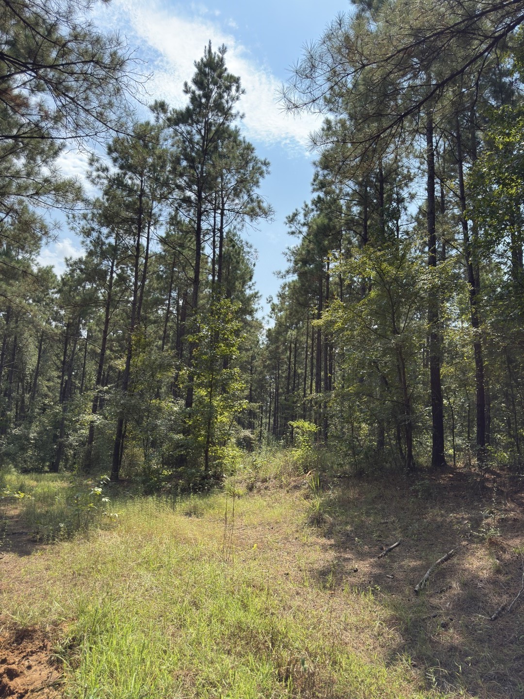 Tbd County Road 283 Garrison TX 75946