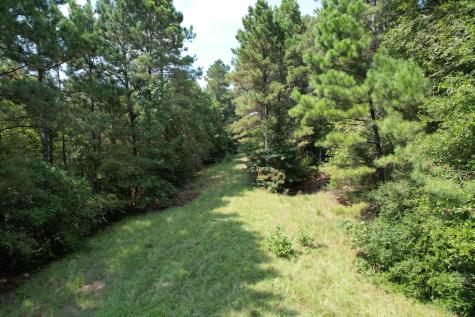 Tbd County Road 283 Garrison TX 75946