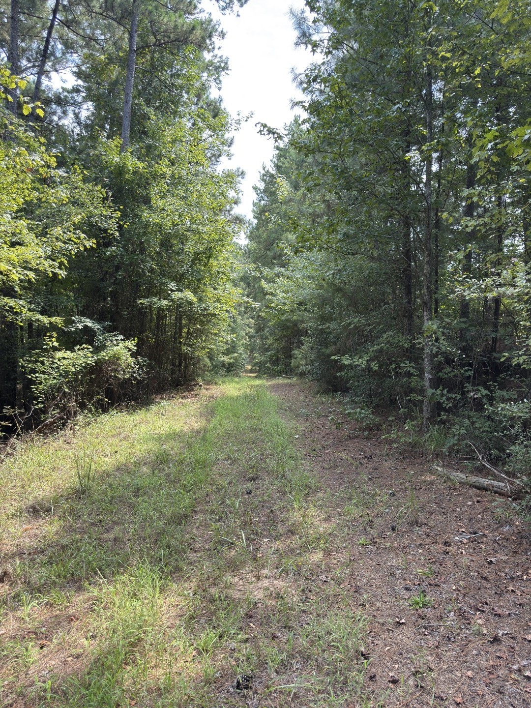 Tbd County Road 283 Garrison TX 75946