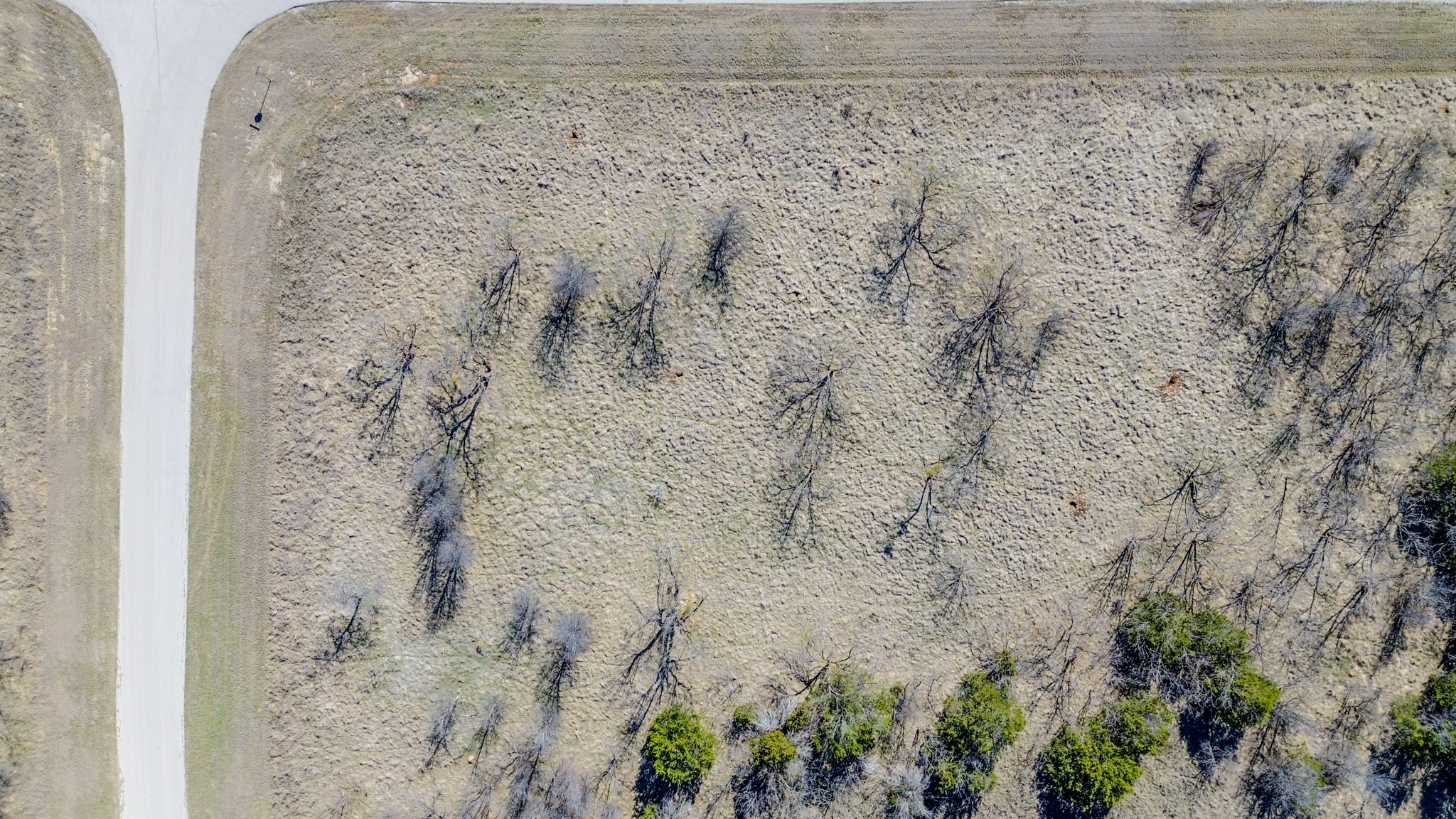 Lot 1023 Turtle Dove Graford TX 76449