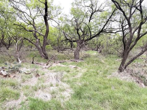 Tbd Cr 156 Breckenridge TX 76424