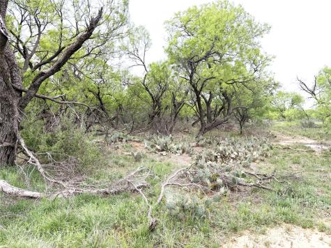 Tbd Cr 156 Breckenridge TX 76424
