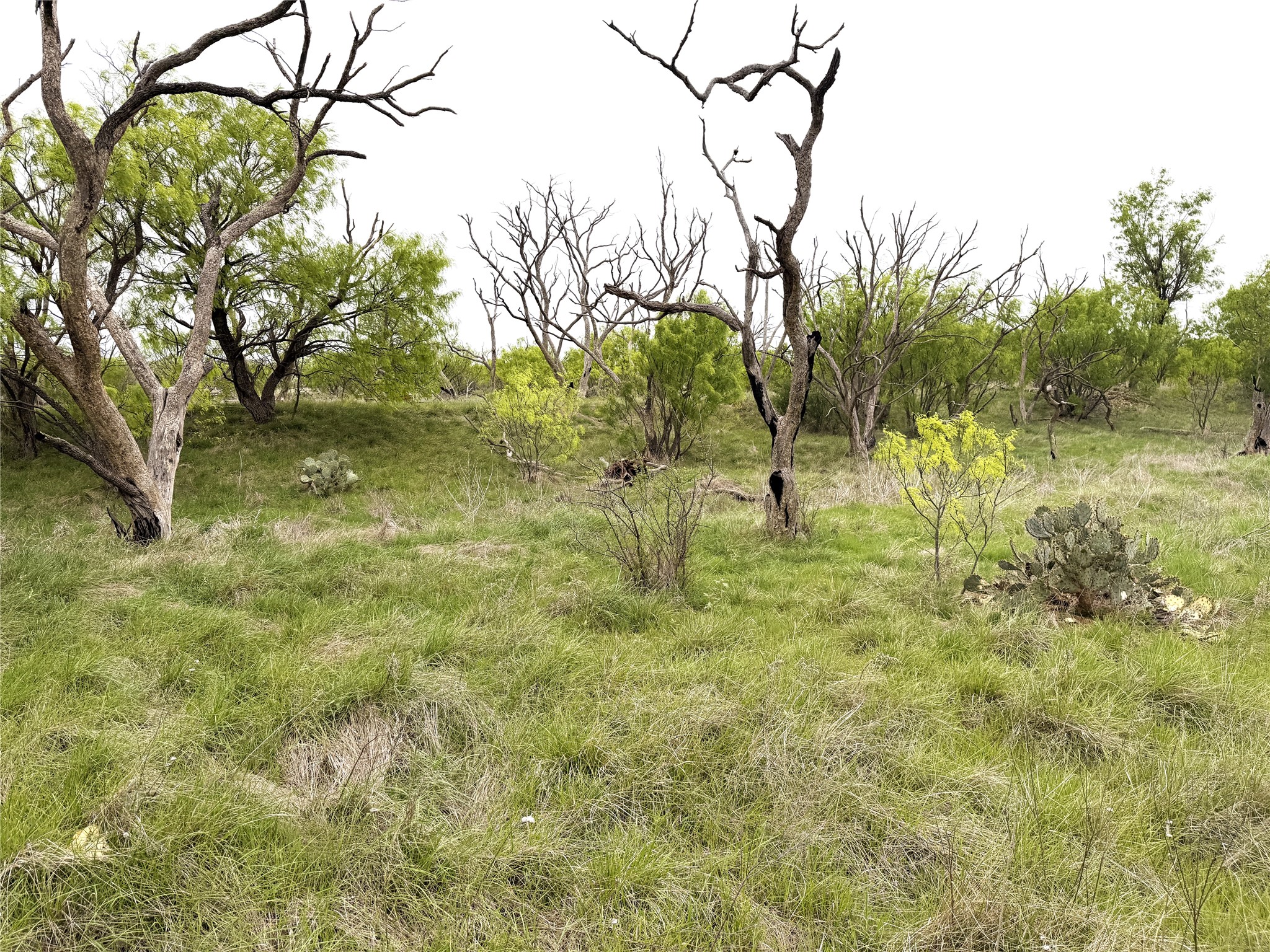 Tbd Cr 156 Breckenridge TX 76424