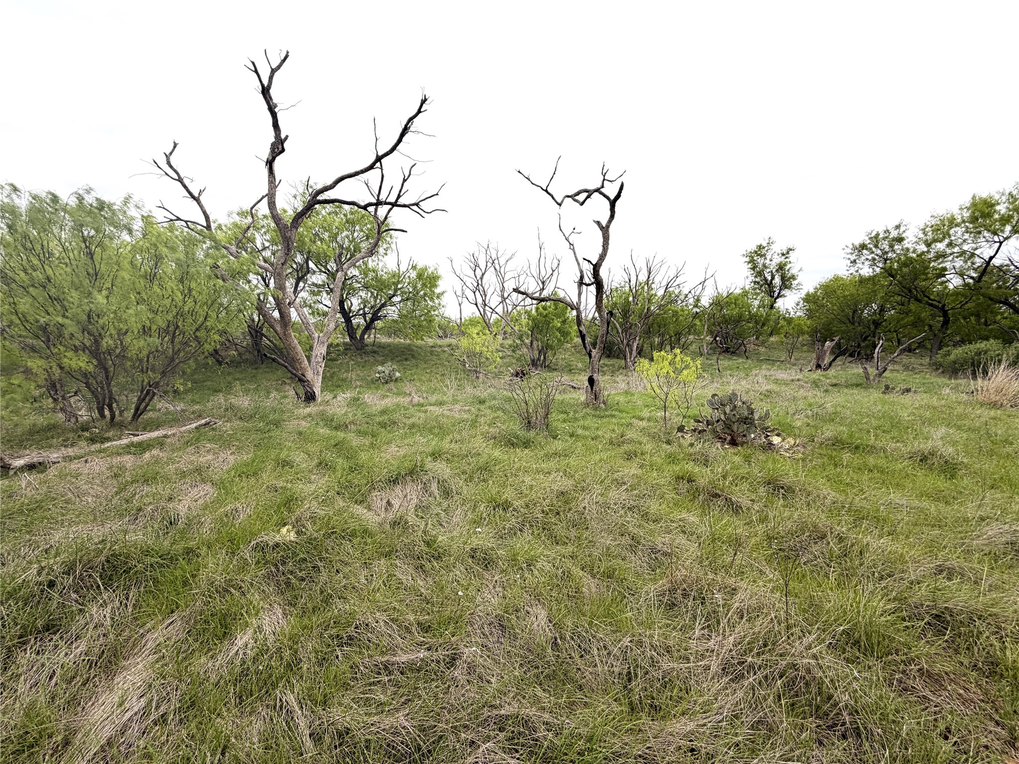 Tbd Cr 156 Breckenridge TX 76424