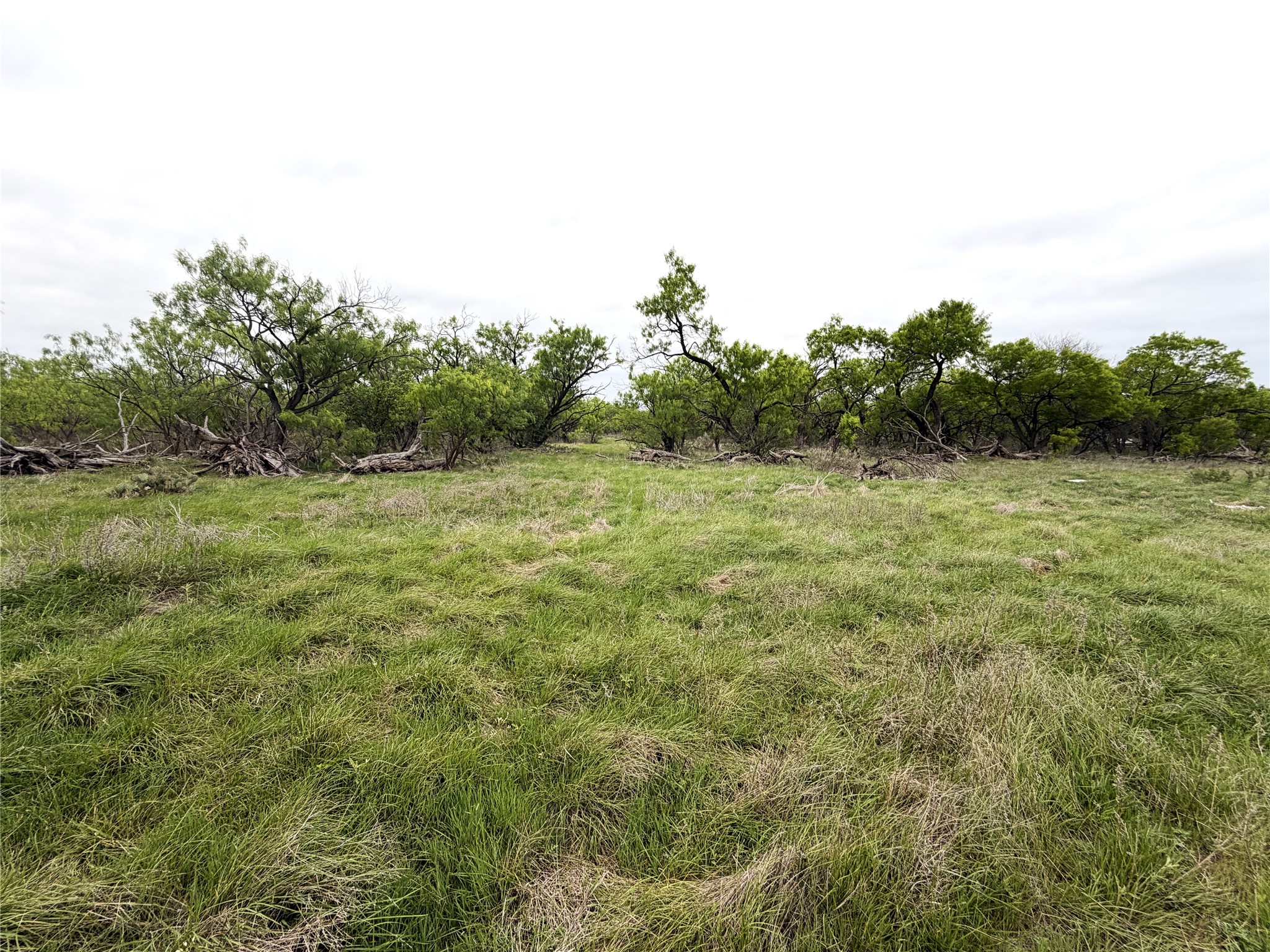 Tbd Cr 156 Breckenridge TX 76424