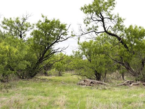 Tbd Cr 156 Breckenridge TX 76424