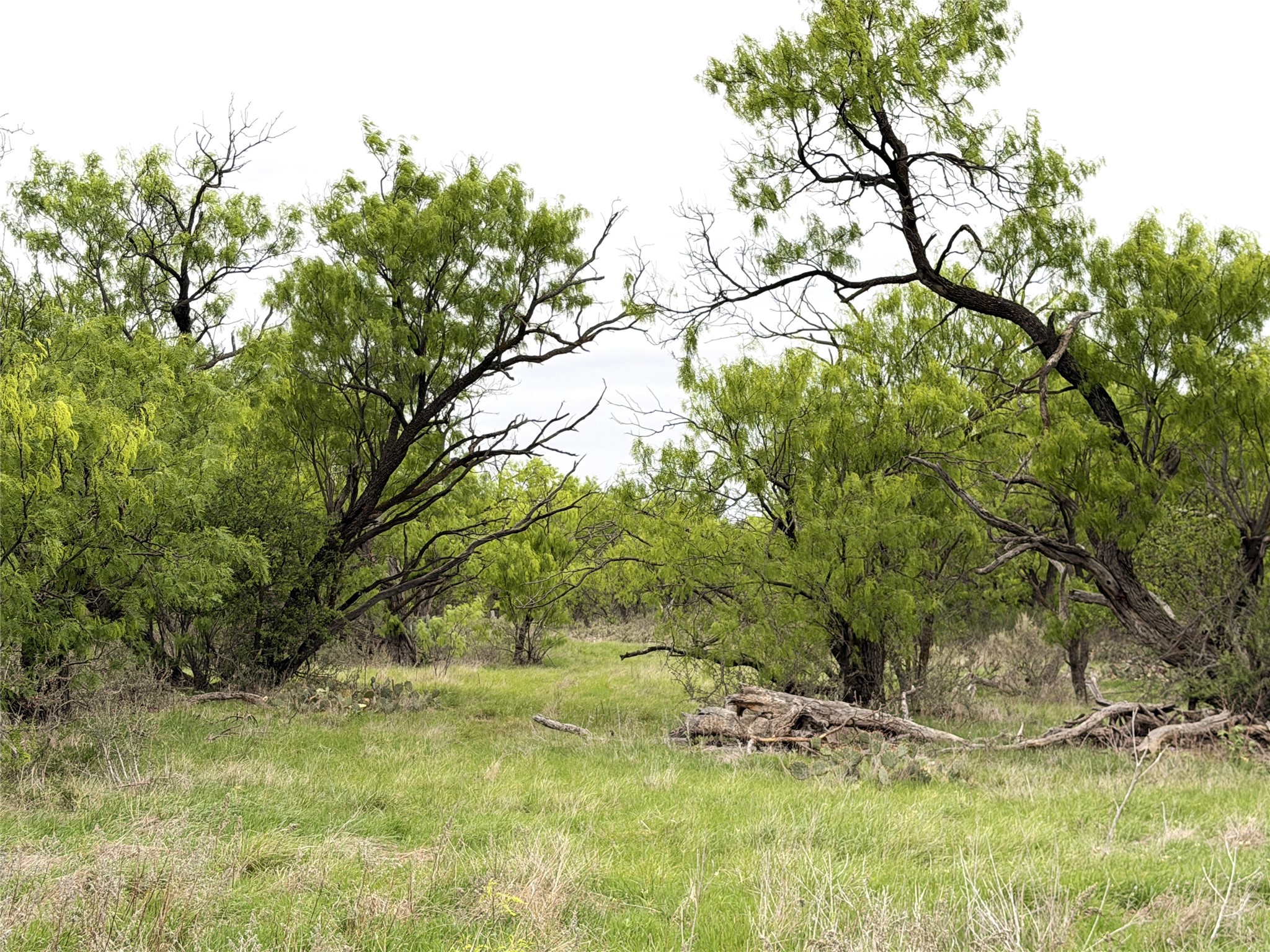 Tbd Cr 156 Breckenridge TX 76424