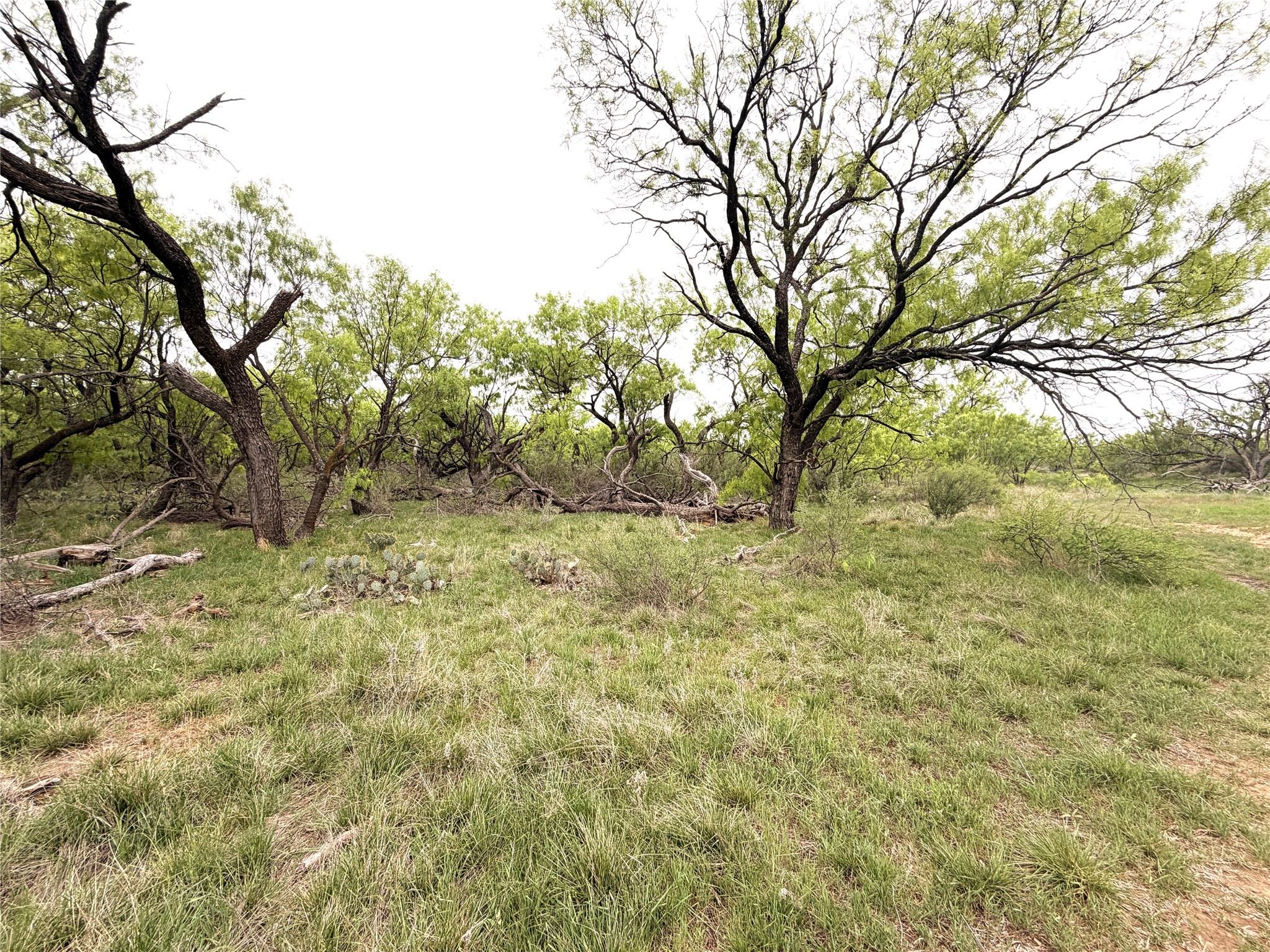 Tbd Cr 156 Breckenridge TX 76424