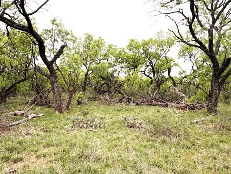 Tbd Cr 156 Breckenridge TX 76424