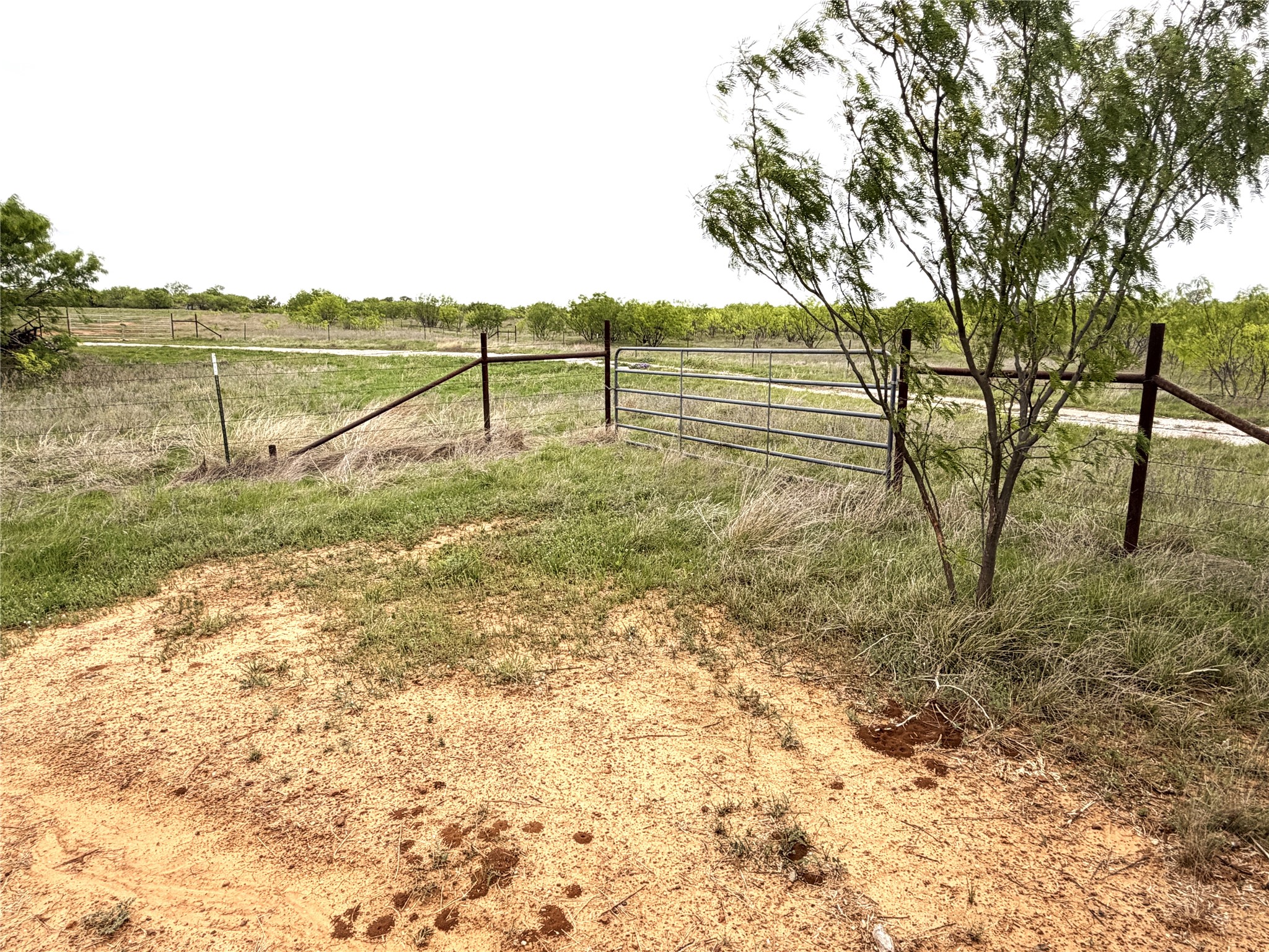 Tbd Cr 156 Breckenridge TX 76424