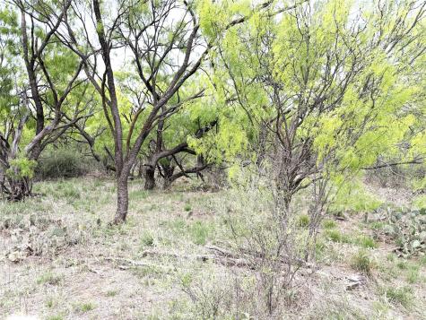 Tbd Cr 156 Breckenridge TX 76424