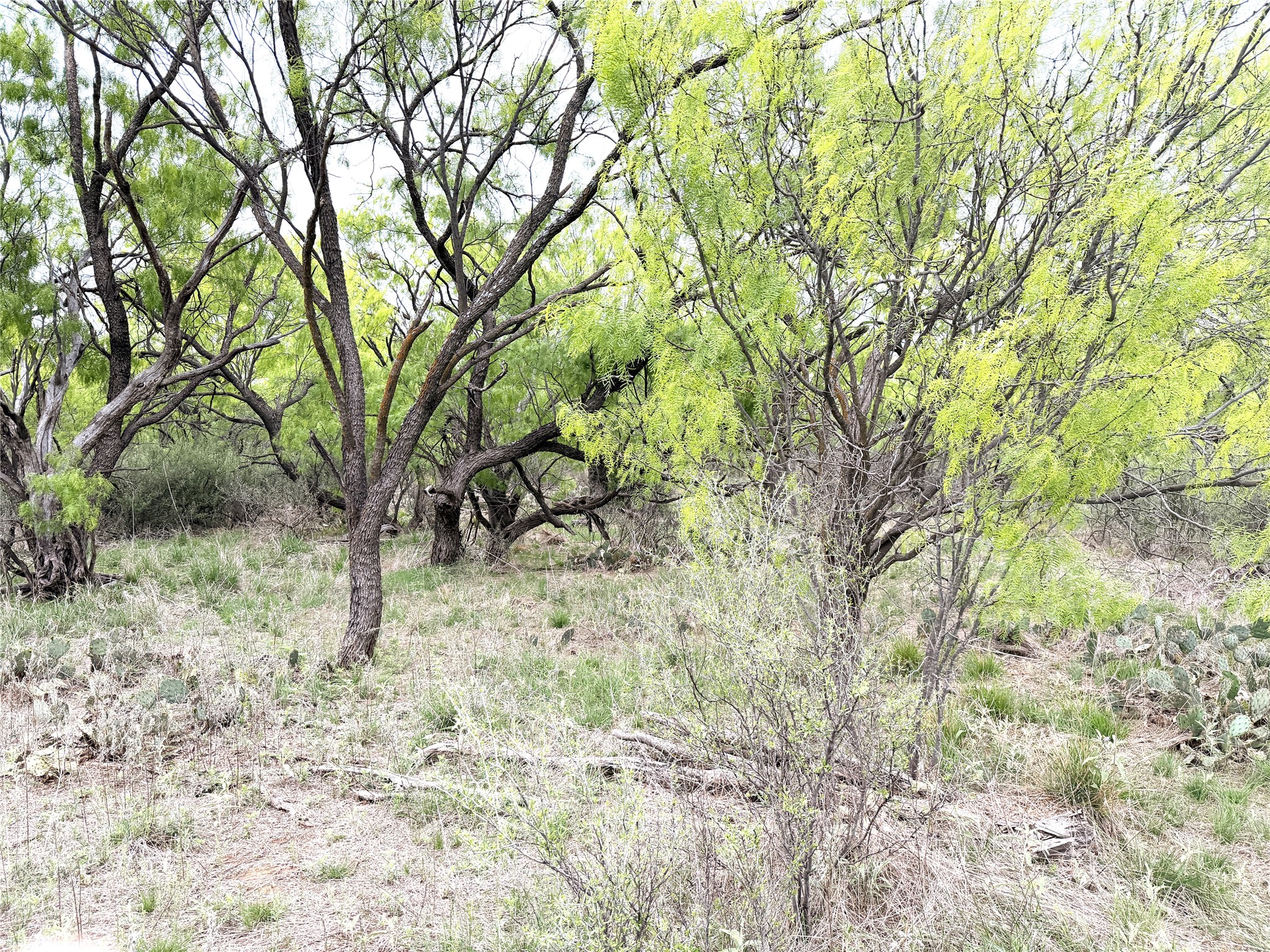 Tbd Cr 156 Breckenridge TX 76424