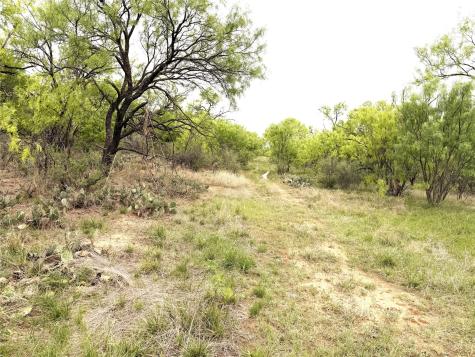 Tbd Cr 156 Breckenridge TX 76424