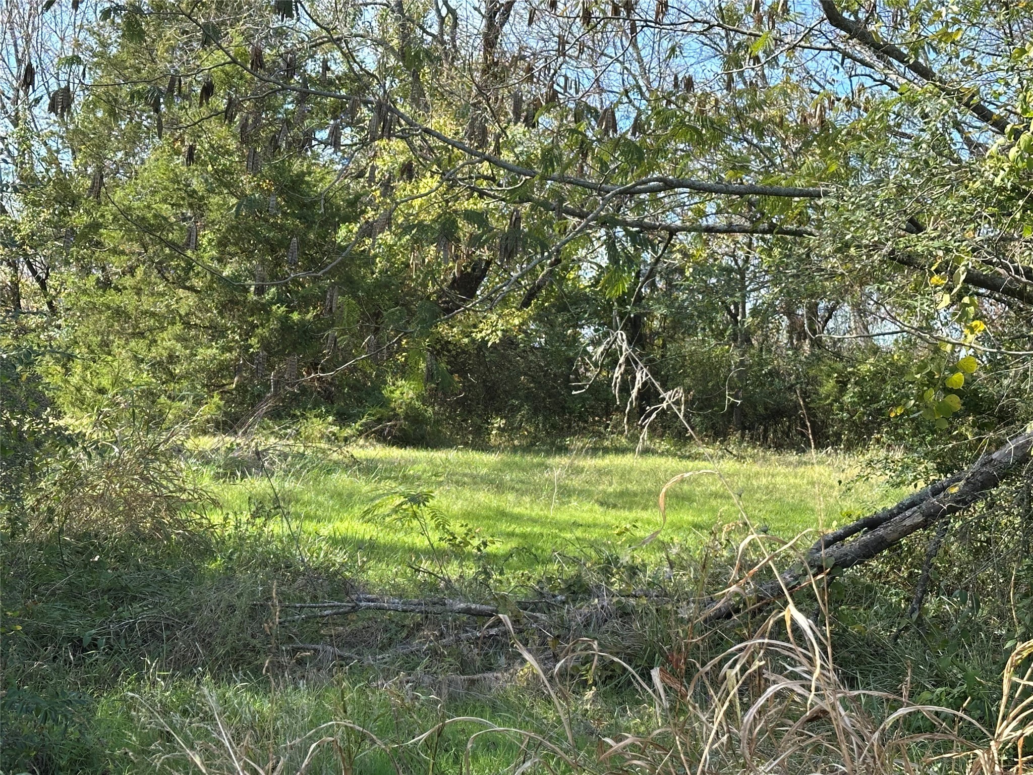 731 NW 1st Street Cooper TX 75432