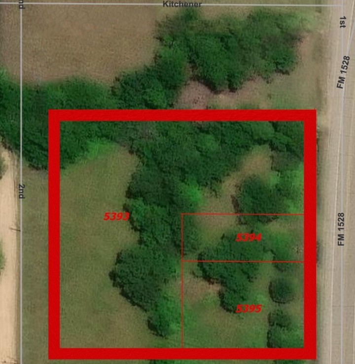 731 NW 1st Street Cooper TX 75432