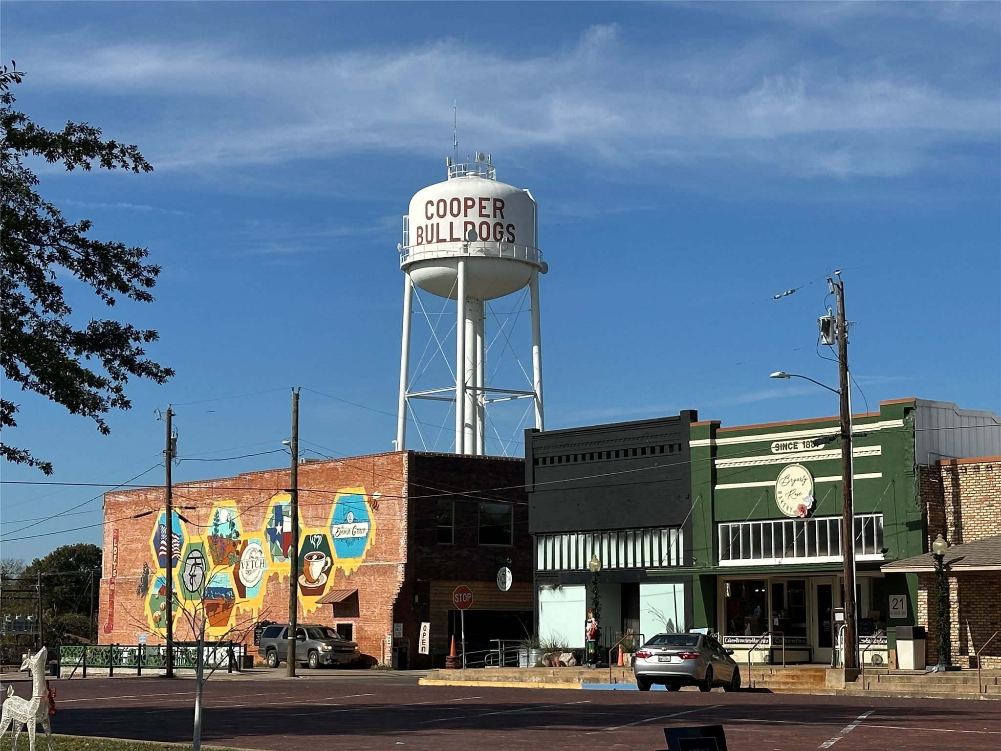 731 NW 1st Street Cooper TX 75432