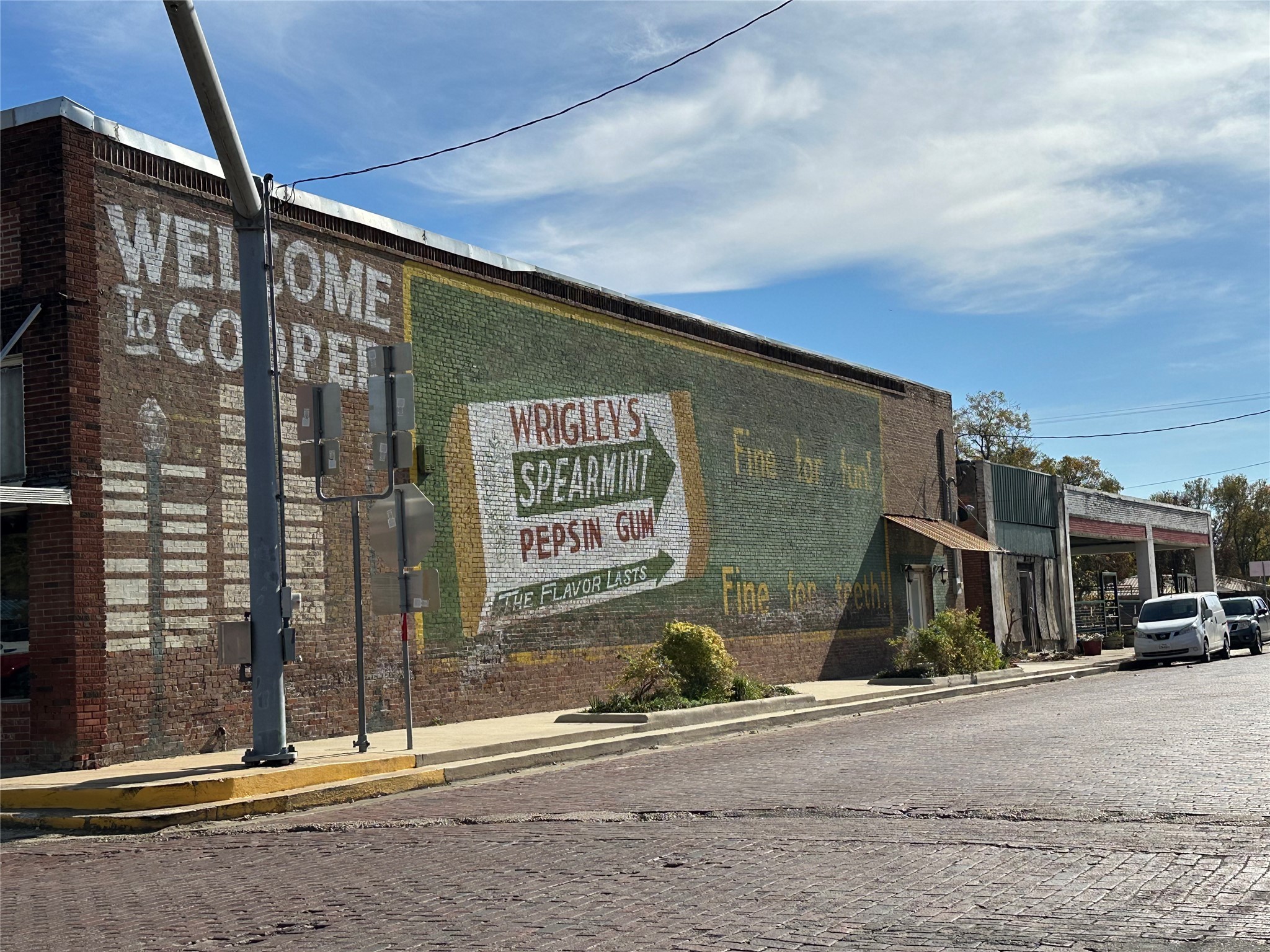 731 NW 1st Street Cooper TX 75432