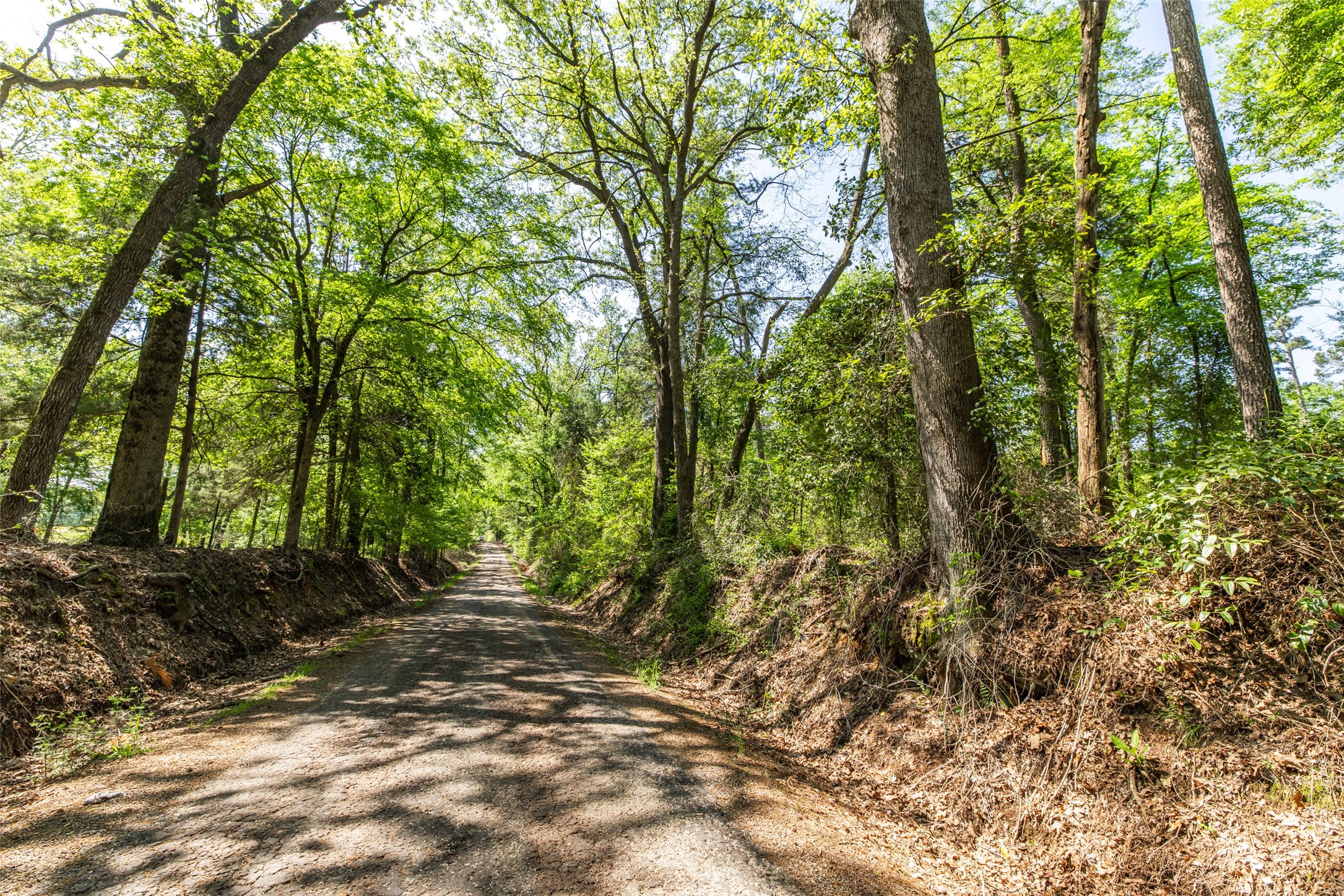 01 County Road 3322 Leesburg TX 75451