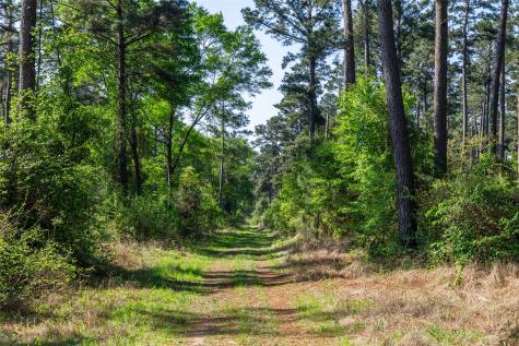 01 County Road 3322 Leesburg TX 75451