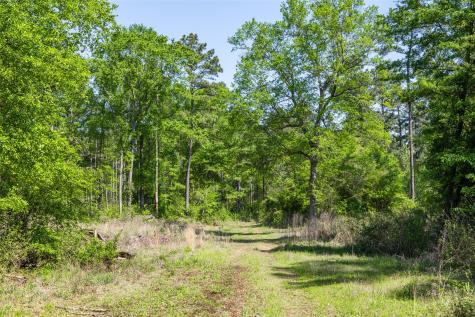 01 County Road 3322 Leesburg TX 75451