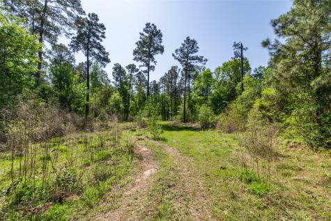 01 County Road 3322 Leesburg TX 75451