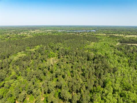 01 County Road 3322 Leesburg TX 75451