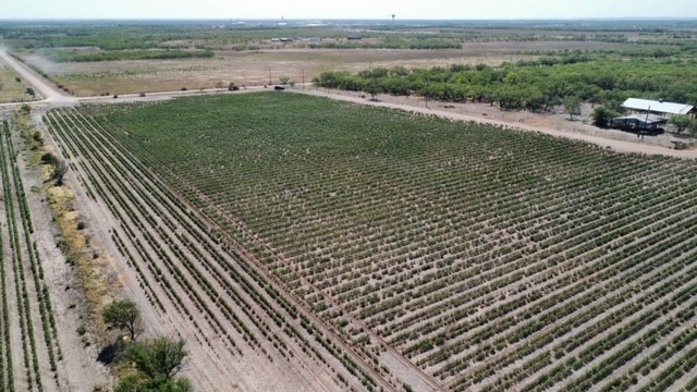 398 Bumpergate Road Abilene TX 79603